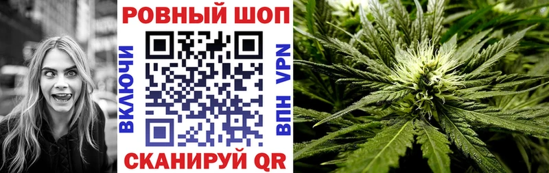 Сколько стоит Шлиссельбург COCAIN Гашиш ГЕРОИН MEGA tor МАРИХУАНА
