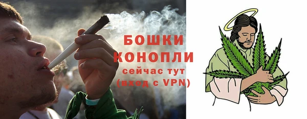 крисы Новозыбков