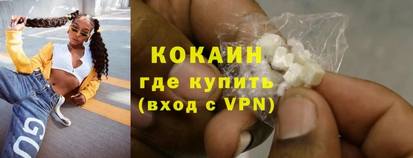 крисы Новозыбков