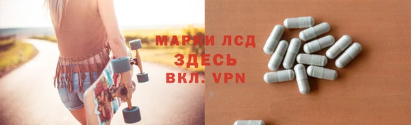 крисы Новозыбков