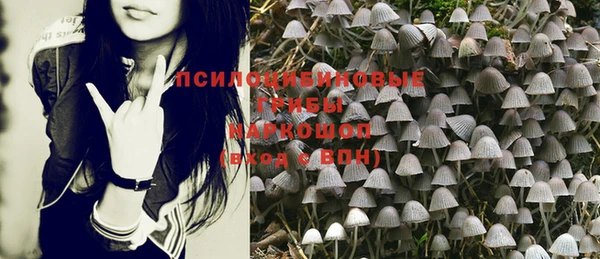 крисы Новозыбков