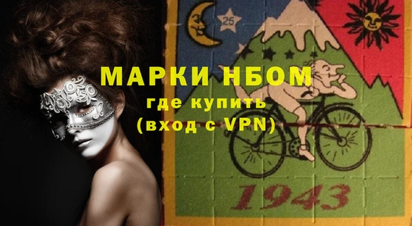 крисы Новозыбков