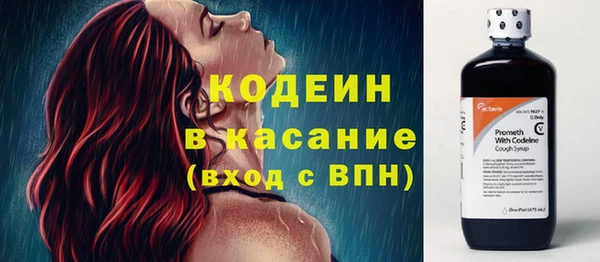 крисы Новозыбков