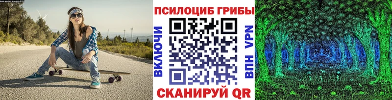 где найти   Шлиссельбург  Псилоцибиновые грибы прущие грибы 